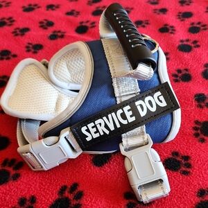 Blue and White Adjustable Dog Harness with Handle